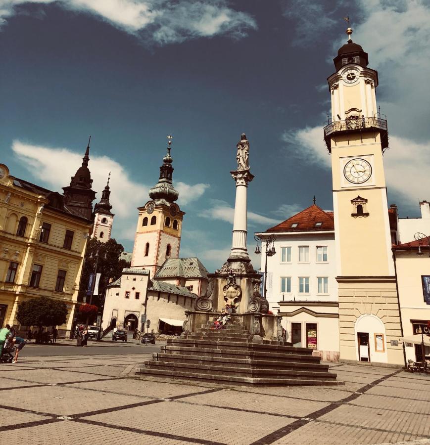 Bl - The Penthouse, 24Hr Self Check-In, 2 Bedrooms, Fireplace, Ac, Panoramic View From Main Balcony, 3-Minute Walk To City Center Banska Bystrica Bagian luar foto